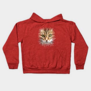 Lion cat Kids Hoodie